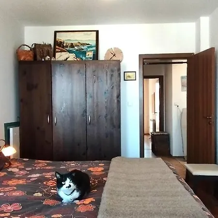 2br Mountain View, Spa, Parking, Piste Lägenhet Bansko